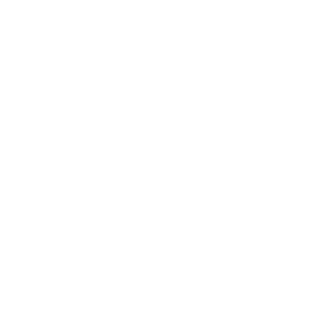 ucl-logo-300x285
